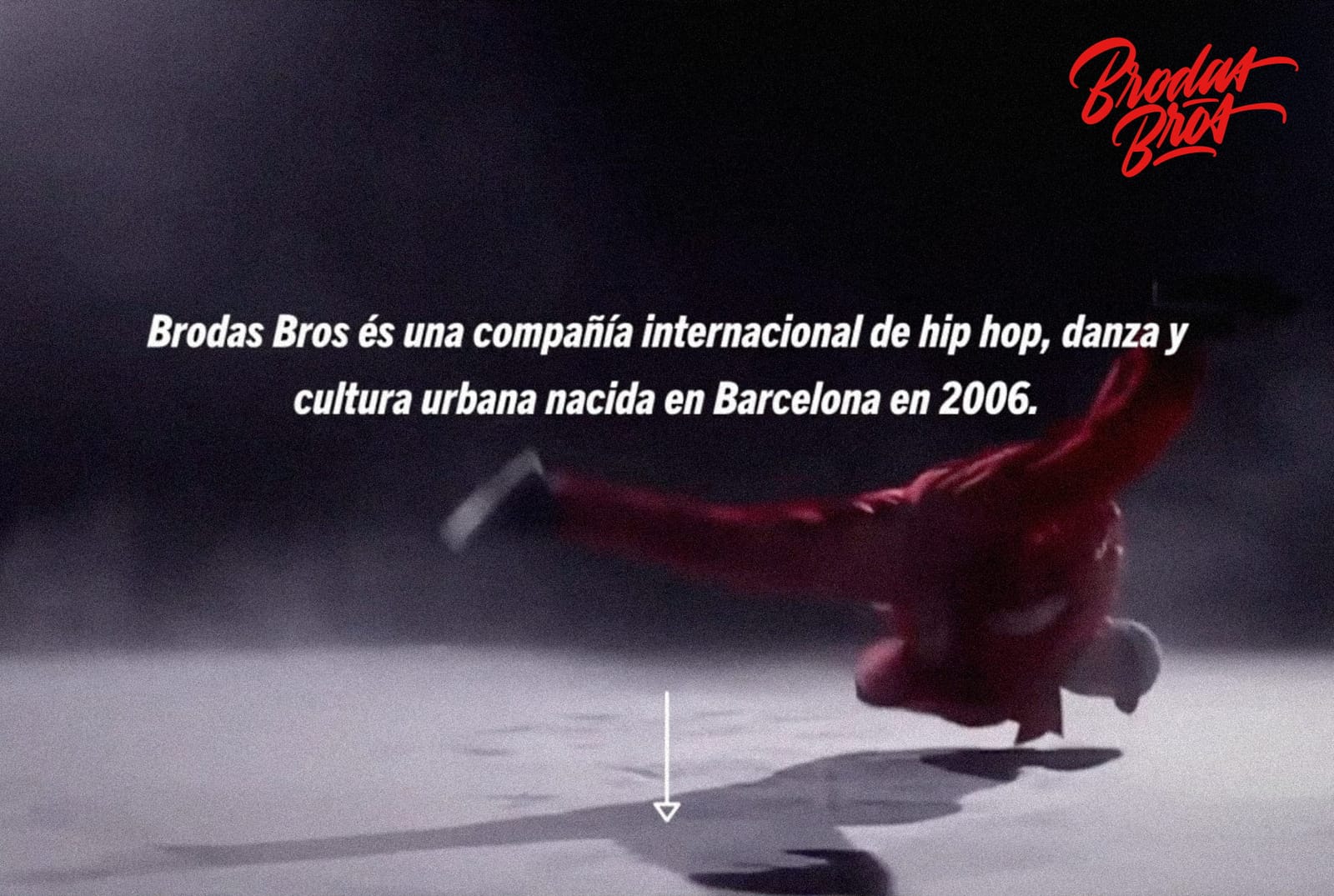 Brodas Bros website – 1/6