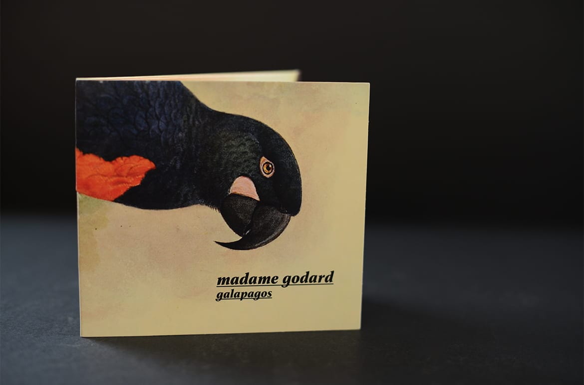 MADAME GODARD